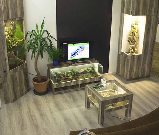 Wohnzimmermöbel mit eingebauten Terrarien